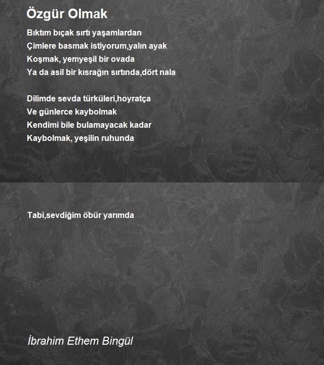 İbrahim Ethem Bingül