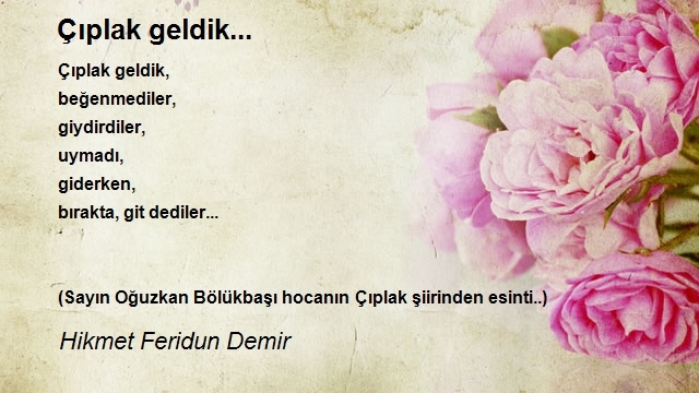 Hikmet Feridun Demir