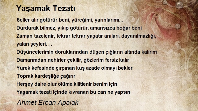 Ahmet Ercan Apalak