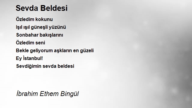 İbrahim Ethem Bingül