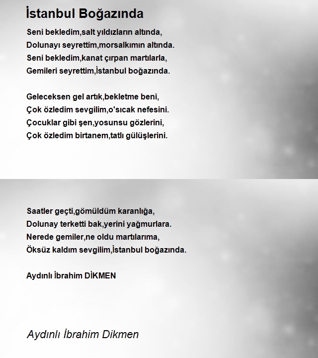 İbrahim Dikmen 2