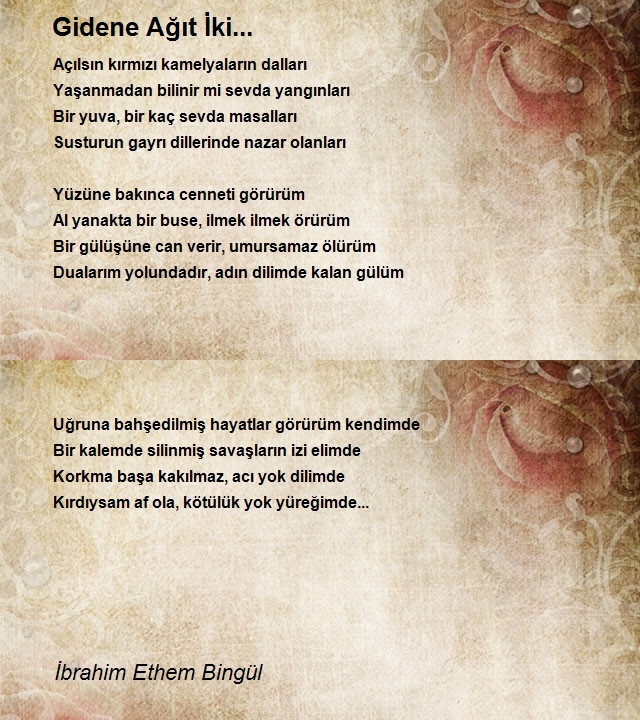 İbrahim Ethem Bingül