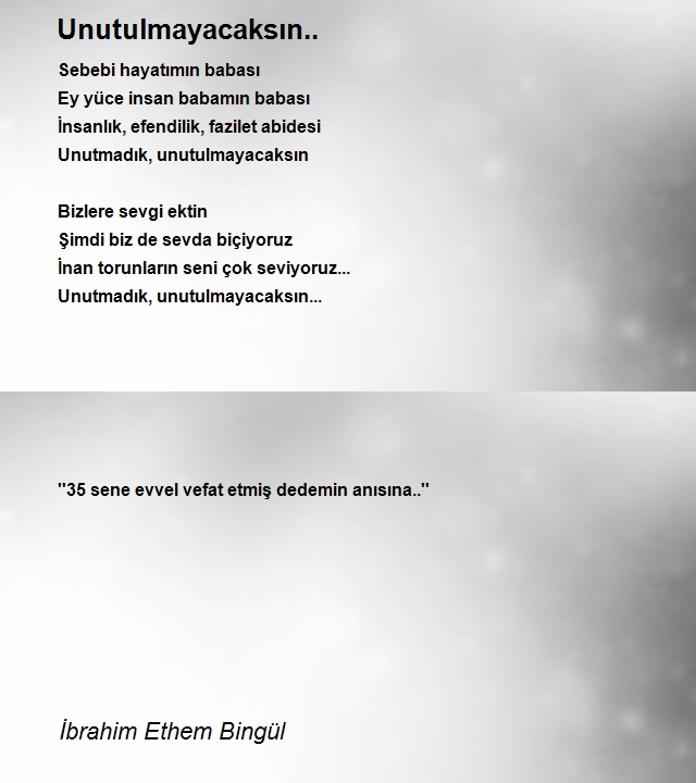 İbrahim Ethem Bingül