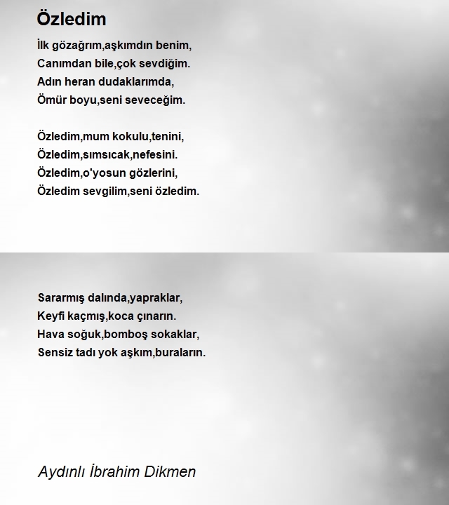 İbrahim Dikmen 2