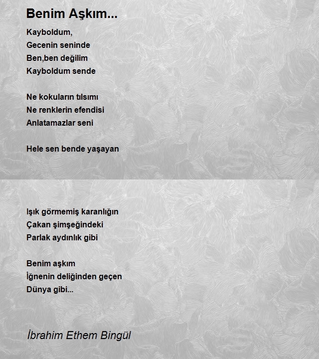 İbrahim Ethem Bingül