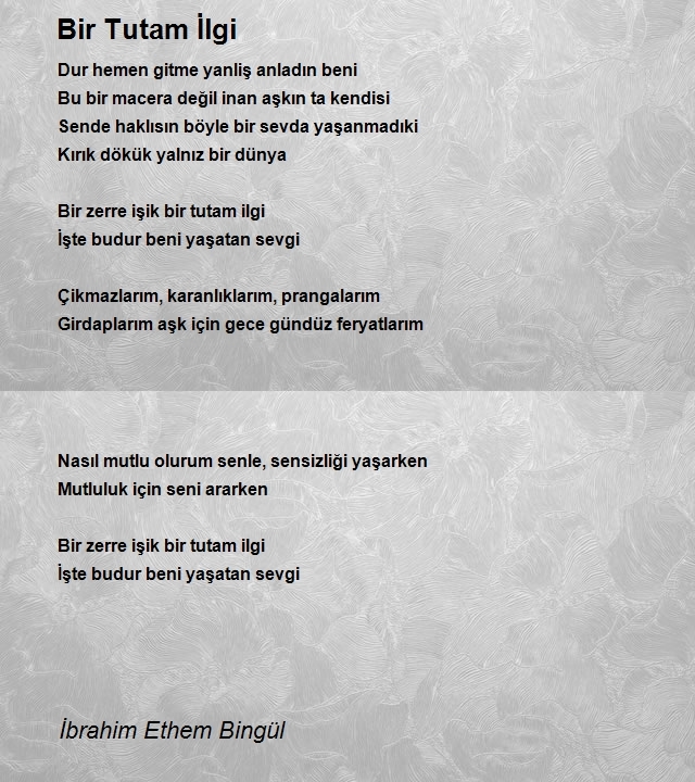 İbrahim Ethem Bingül