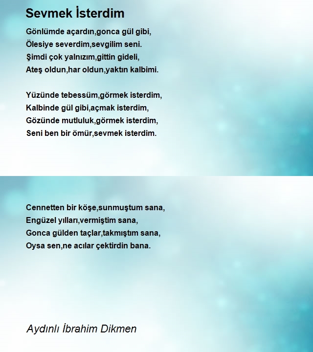 İbrahim Dikmen 2