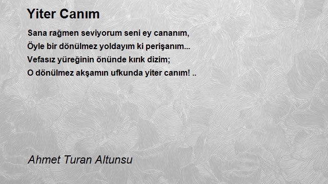 Ahmet Turan Altunsu