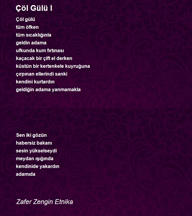 Zafer Zengin Etnika