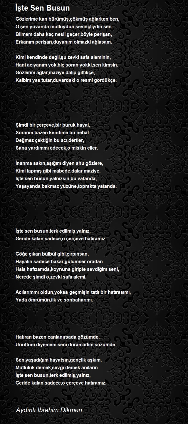 İbrahim Dikmen 2