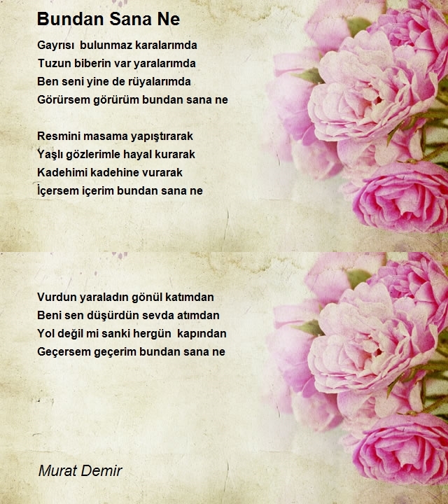 Murat Demir