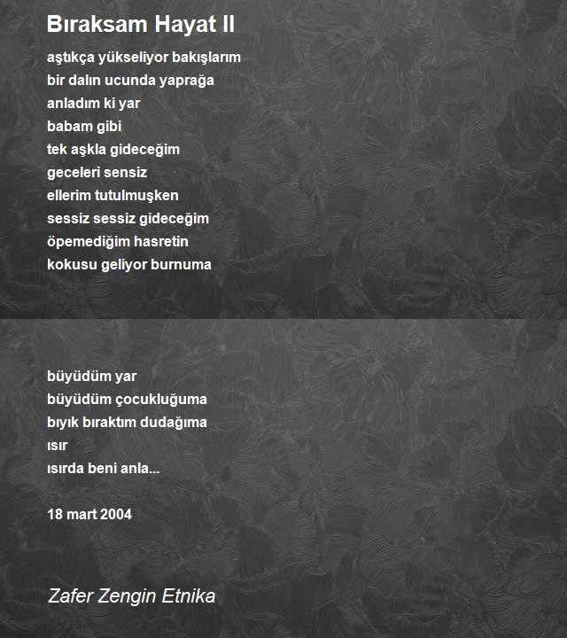 Zafer Zengin Etnika