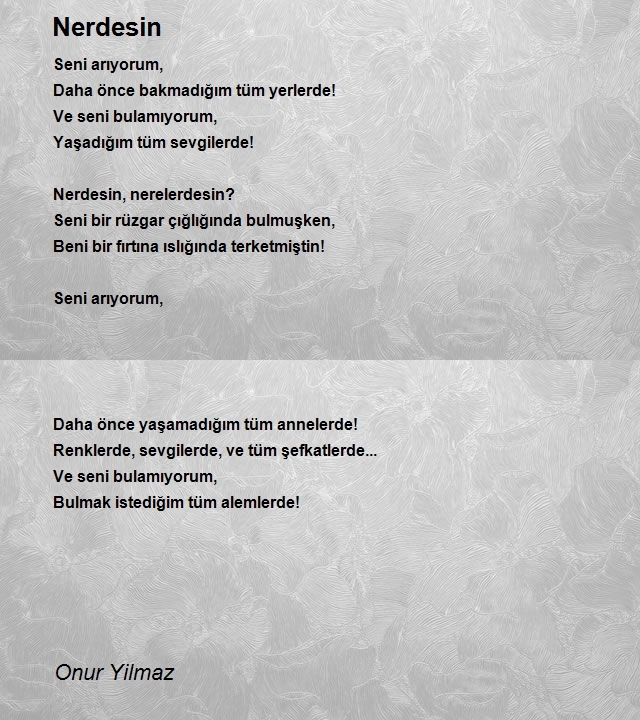 Onur Yilmaz