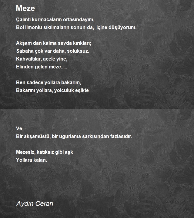 Aydın Ceran