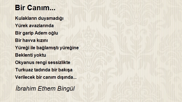 İbrahim Ethem Bingül