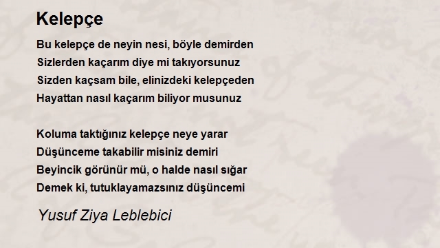 Yusuf Ziya Leblebici