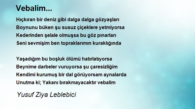 Yusuf Ziya Leblebici