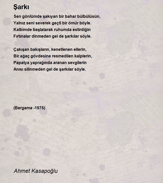 Ahmet Kasapoğlu