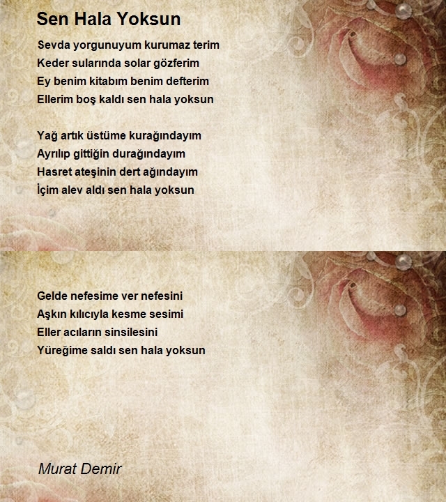 Murat Demir