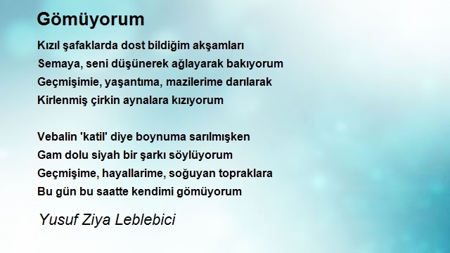 Yusuf Ziya Leblebici