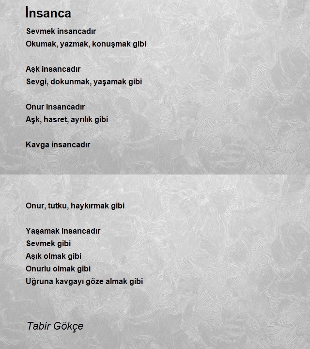 Tabir Gökçe