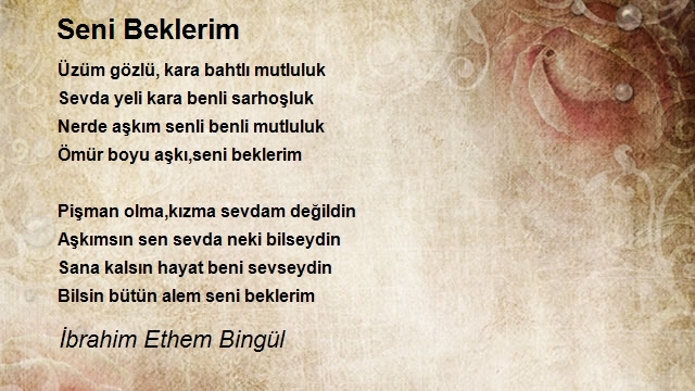 İbrahim Ethem Bingül