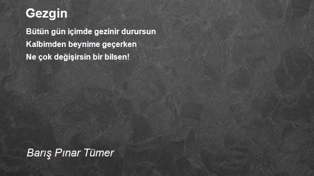 Barış Pınar Tümer