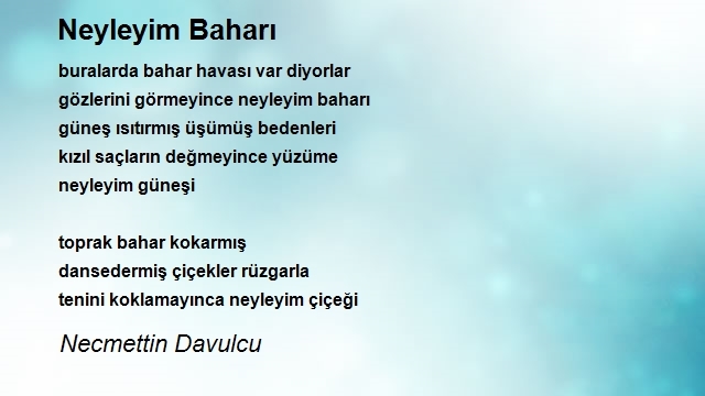 Necmettin Davulcu