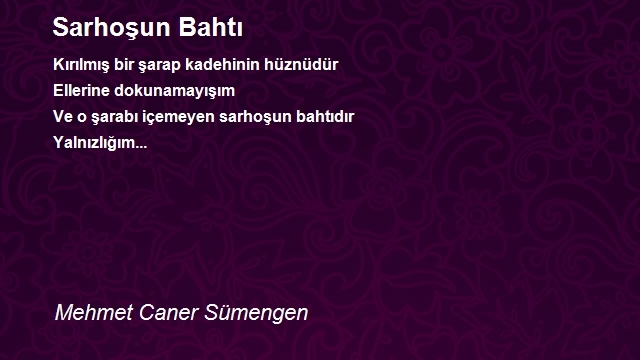 Mehmet Caner Sümengen