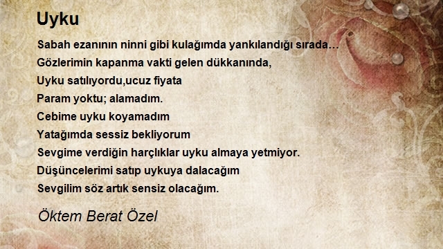 Öktem Berat Özel