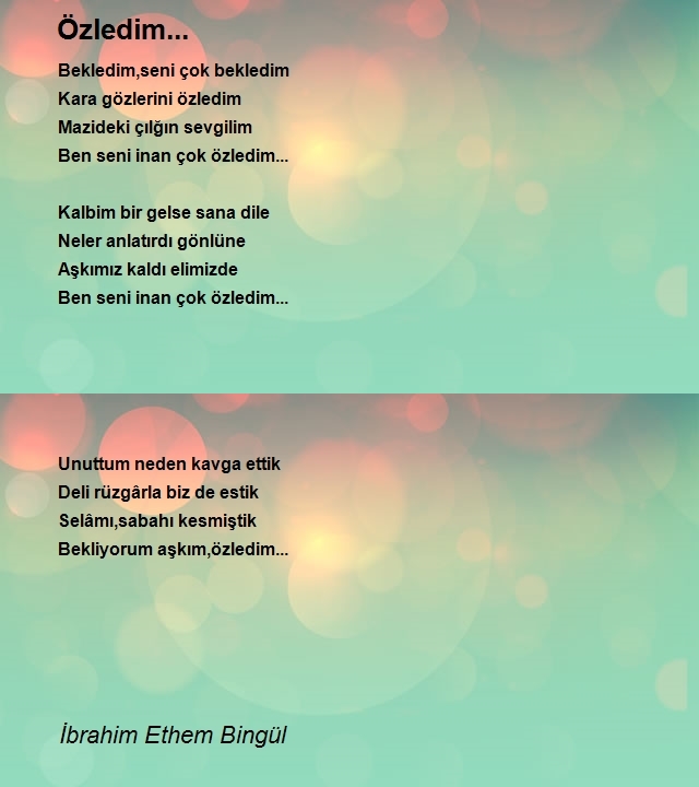 İbrahim Ethem Bingül