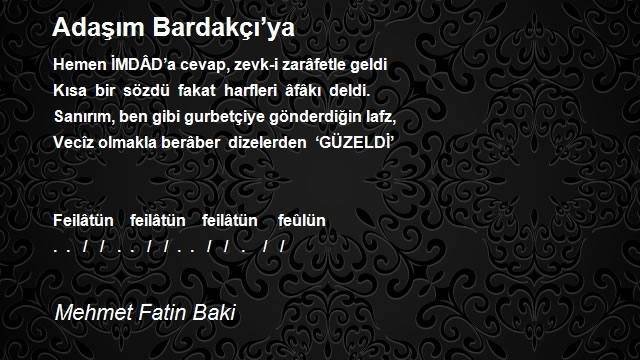 Mehmet Fatin Baki