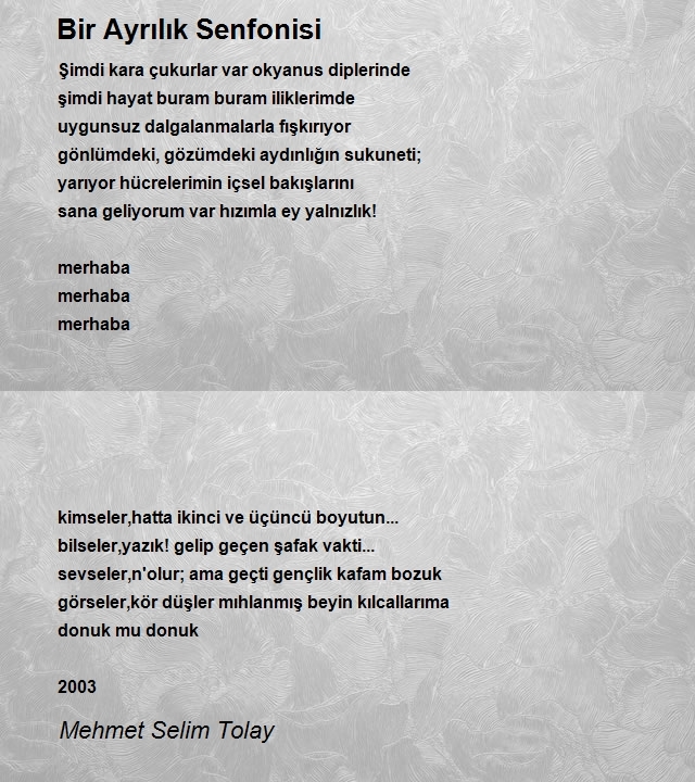 Mehmet Selim Tolay