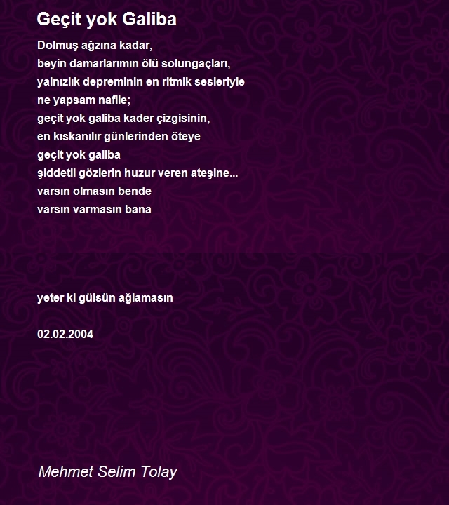 Mehmet Selim Tolay