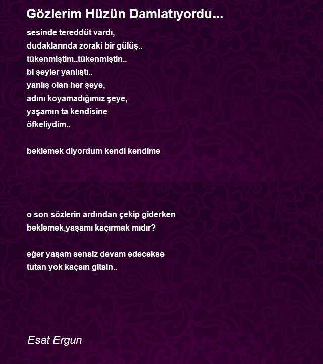 Esat Ergun