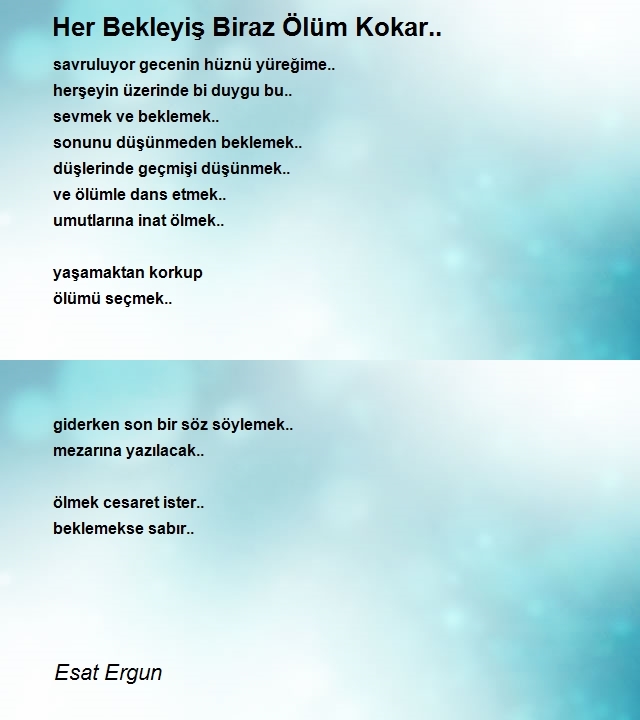 Esat Ergun