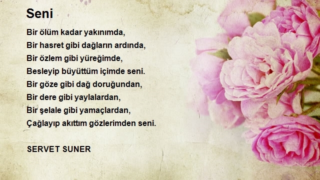 Servet Suner