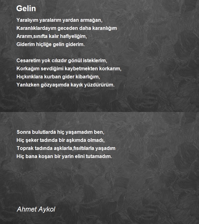 Ahmet Aykol