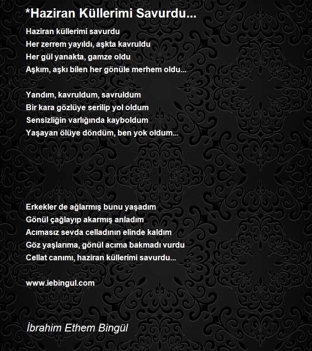 İbrahim Ethem Bingül