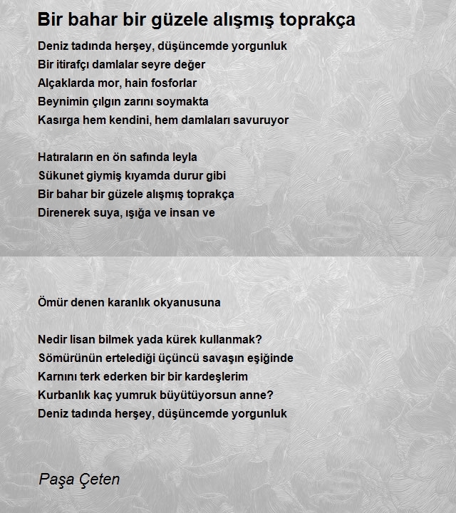 Paşa Çeten