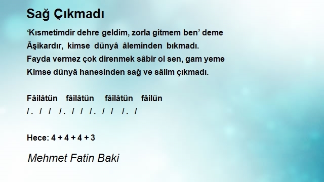 Mehmet Fatin Baki