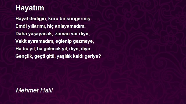 Mehmet Halil