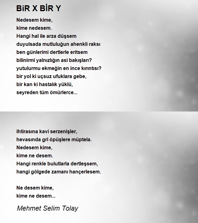 Mehmet Selim Tolay