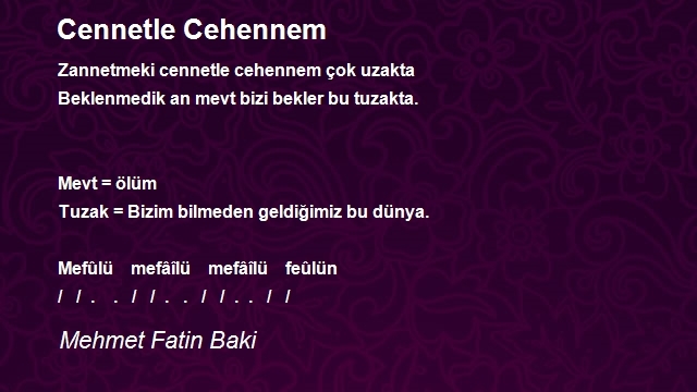 Mehmet Fatin Baki