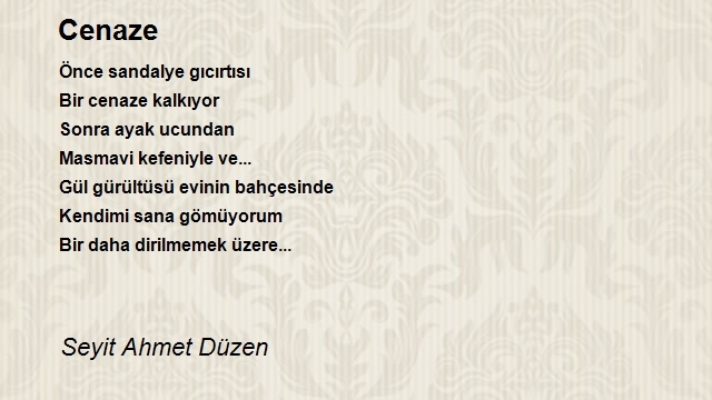 Seyit Ahmet Düzen