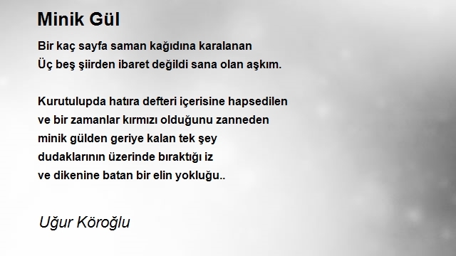 Uğur Köroğlu