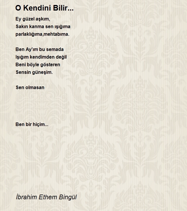 İbrahim Ethem Bingül