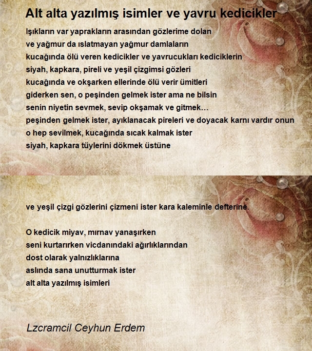 Lzcramcil Ceyhun Erdem