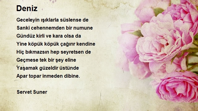 Servet Suner