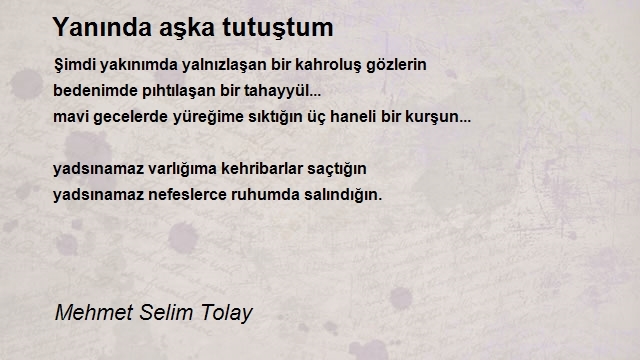 Mehmet Selim Tolay